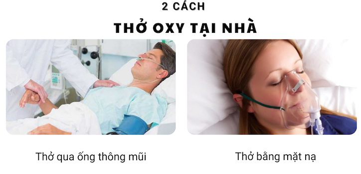 cach-tho-oxy-tai-nha